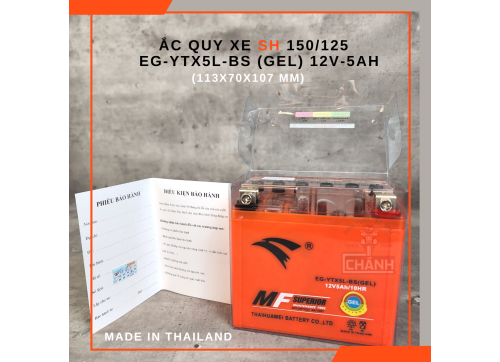 Ắc quy xe SH 150/ 125 Eagle nhập khẩu Thái Lan 5
