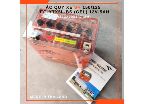 Ắc quy xe SH 150/ 125 Eagle nhập khẩu Thái Lan 6